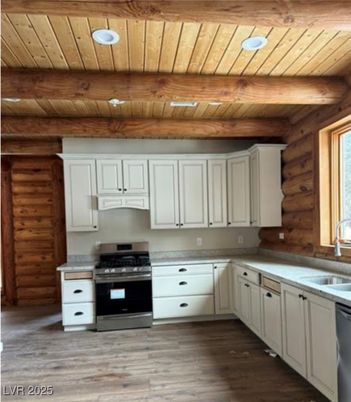 Interior, Kitchen, Stainless Steel Appliances, Wooden Beams, Wooden Ceilings, Wood Texture Flooring, Wooden Walls