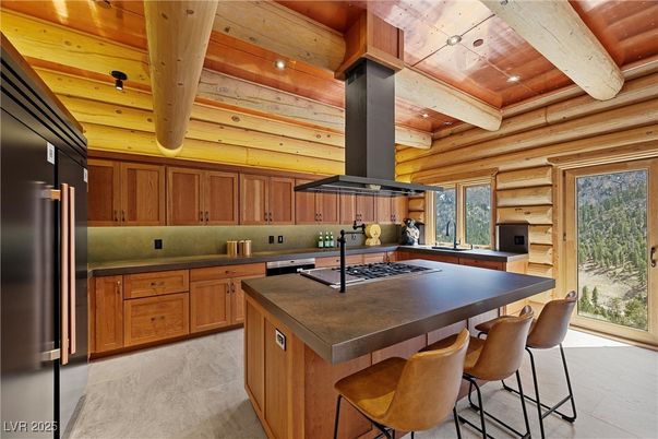 Interior, Kitchen, Stainless Steel Appliances, Wooden Beams, Wooden Ceilings, Wooden Walls