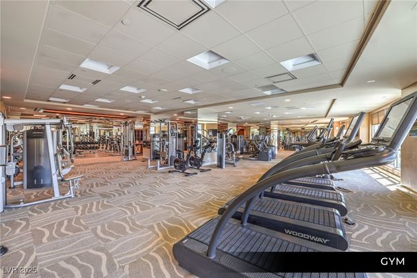 Fitness Equipment, Gym, Interior, Recessed Lighting
