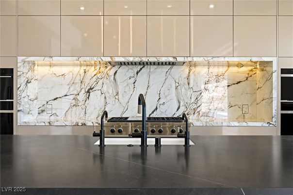Interior, Kitchen, Marble Walls, Stainless Steel Appliances