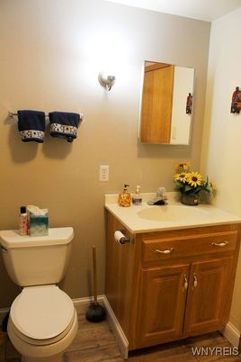 Bathroom, Interior, Wood Texture Flooring