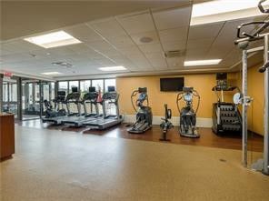Fitness Equipment, Gym, Interior, Recessed Lighting, Wood Texture Flooring