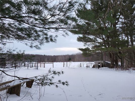 Backyard, Exterior, Lake