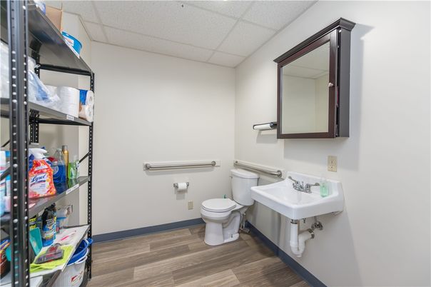 Bathroom, Interior, Wood Texture Flooring