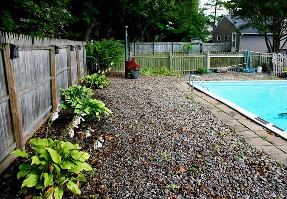 Backyard, Exterior, Pool
