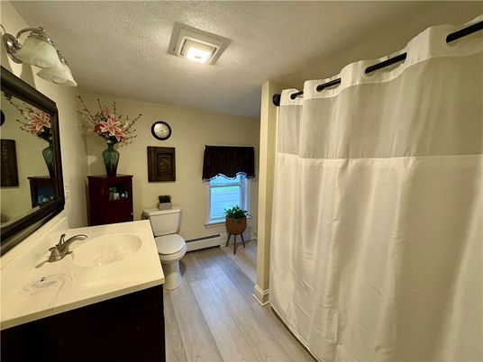 Bathroom, Interior, Wood Texture Flooring