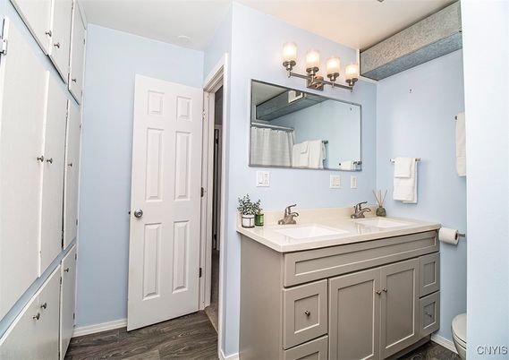 Bathroom, Interior, Wood Texture Flooring