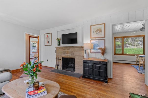 Fireplace, Interior, Wood Texture Flooring