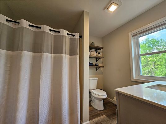 Bathroom, Interior, Wood Texture Flooring
