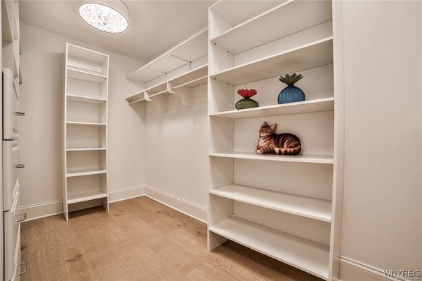 Interior, Walk-in Closets, Wood Texture Flooring