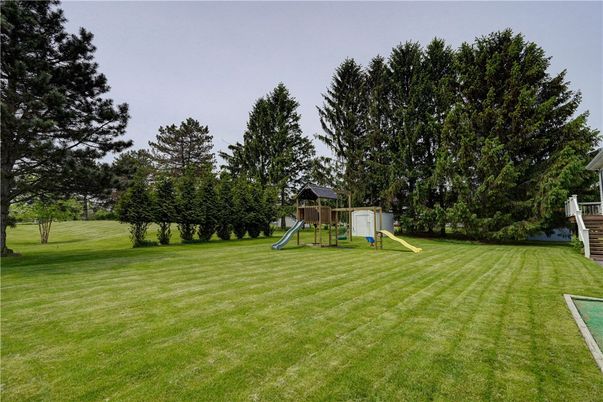 Backyard, Exterior, Playground