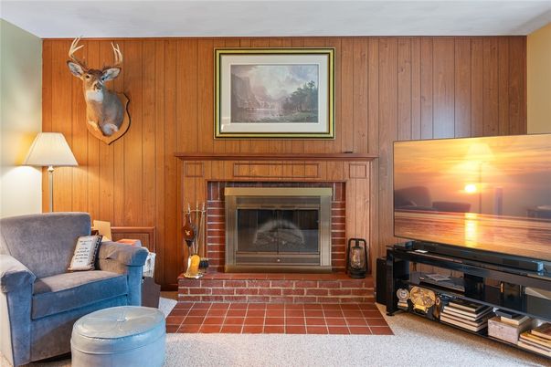 Fireplace, Interior, Living room, Wooden Walls