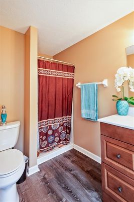 Bathroom, Interior, Wood Texture Flooring