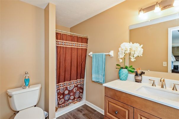 Bathroom, Interior, Wood Texture Flooring