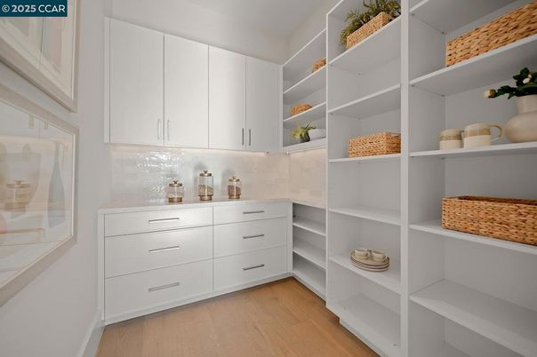 Interior, Walk-in Closets, Wood Texture Flooring