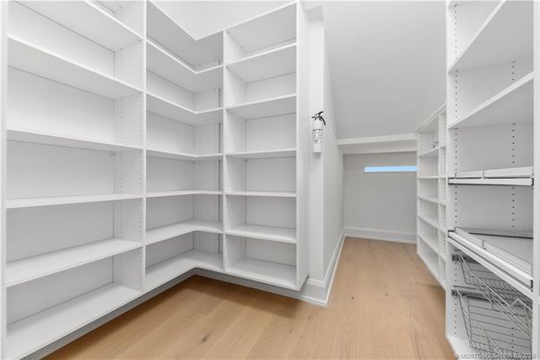 Interior, Walk-in Closets, Wood Texture Flooring