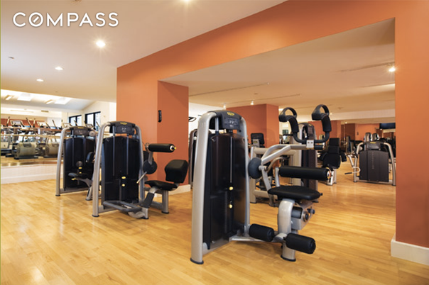 Fitness Equipment, Gym, Interior, Recessed Lighting, Wood Texture Flooring