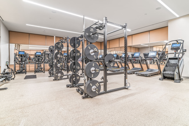 Fitness Equipment, Gym, Interior, Recessed Lighting