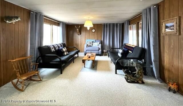 Interior, Living room, Wooden Walls