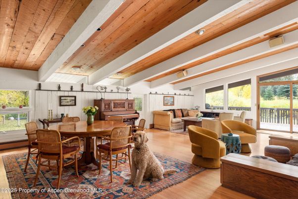 Dining room, Interior, Living room, Wooden Ceilings, Wood Texture Flooring