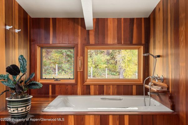 Bathroom, Interior, Wooden Walls