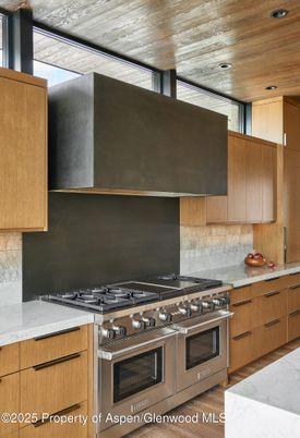 Interior, Kitchen, Recessed Lighting, Stainless Steel Appliances, Wooden Ceilings