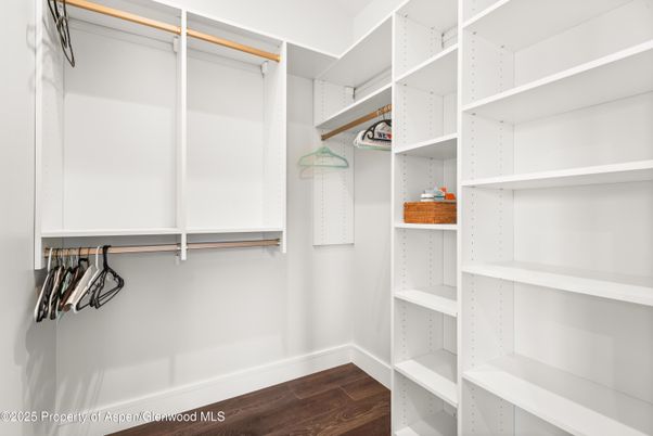 Interior, Walk-in Closets, Wood Texture Flooring
