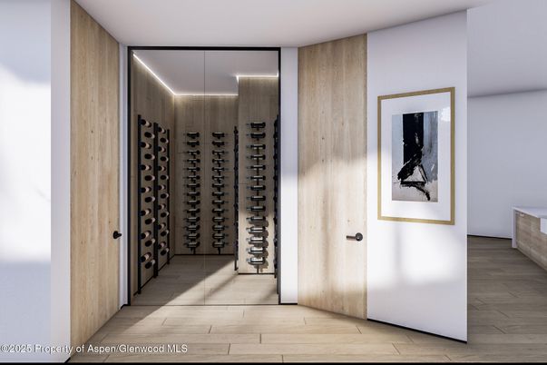 Interior, Wine Storage, Wood Texture Flooring