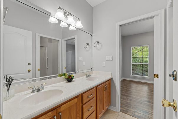 Bathroom, Dual Sink Vanities, Interior, Wood Texture Flooring