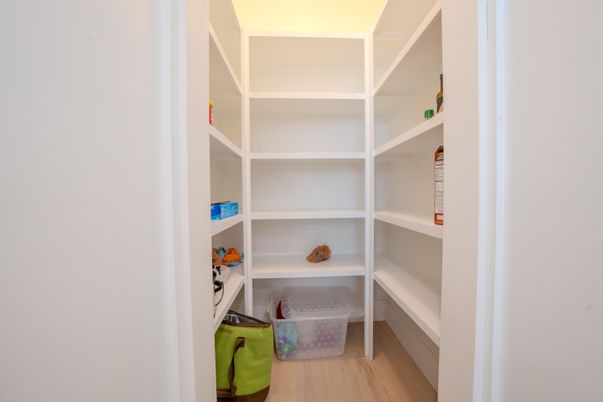 Interior, Walk-in Closets, Wood Texture Flooring