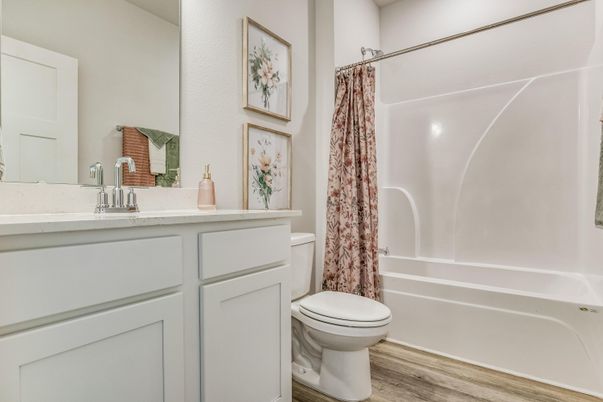 Bathroom, Interior, Wood Texture Flooring