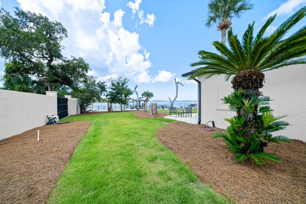 Backyard, Exterior, Water