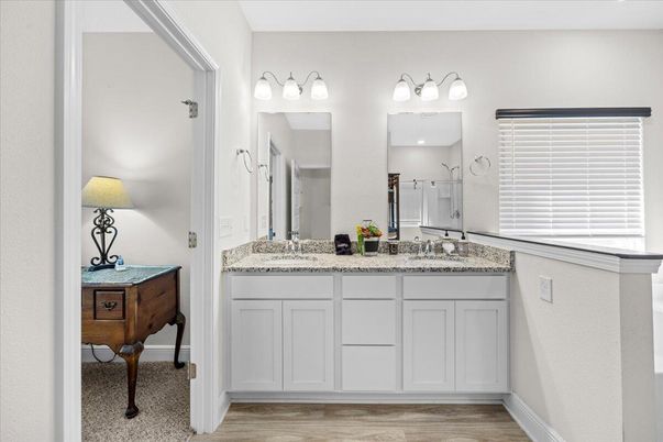 Bathroom, Dual Sink Vanities, Interior, Wood Texture Flooring