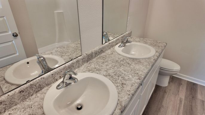 Bathroom, Dual Sink Vanities, Interior, Wood Texture Flooring