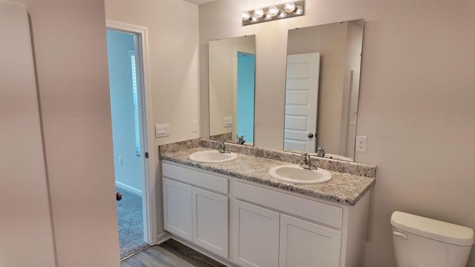 Bathroom, Dual Sink Vanities, Interior, Wood Texture Flooring
