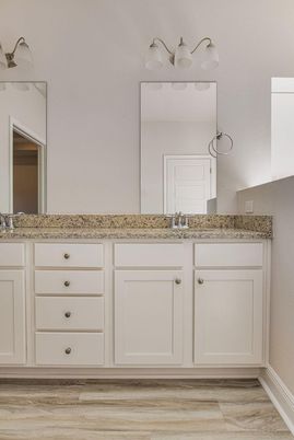 Bathroom, Dual Sink Vanities, Interior, Wood Texture Flooring