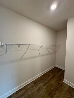 Interior, Recessed Lighting, Walk-in Closets, Wood Texture Flooring