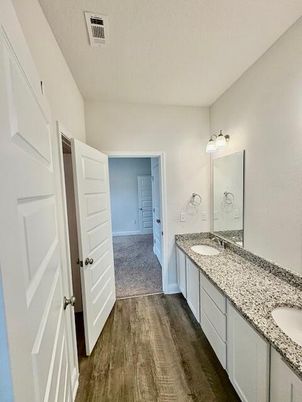 Bathroom, Dual Sink Vanities, Interior, Wood Texture Flooring