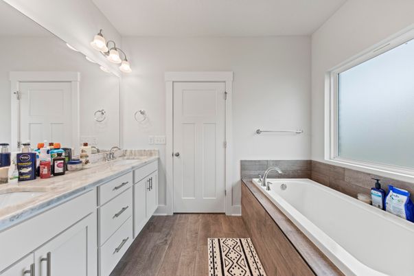 Bathroom, Dual Sink Vanities, Interior, Wood Texture Flooring