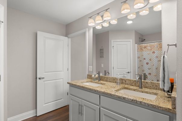 Bathroom, Dual Sink Vanities, Interior, Wood Texture Flooring