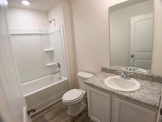 Bathroom, Interior, Recessed Lighting, Wood Texture Flooring