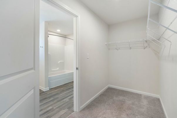 Interior, Recessed Lighting, Walk-in Closets, Wood Texture Flooring
