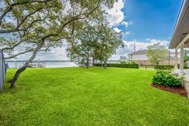 Backyard, Exterior, Water