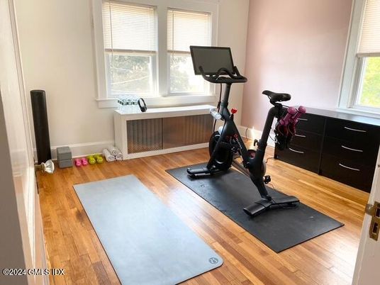 Fitness Equipment, Interior, Wood Texture Flooring