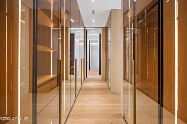 Interior, Recessed Lighting, Walk-in Closets, Wood Texture Flooring