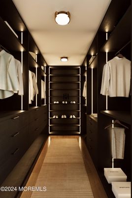Interior, Walk-in Closets, Wood Texture Flooring