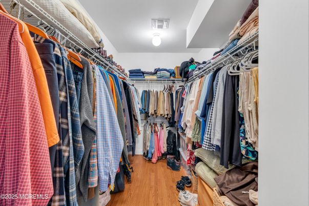 Interior, Walk-in Closets, Wood Texture Flooring