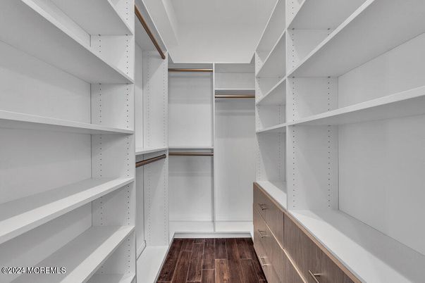 Interior, Walk-in Closets, Wood Texture Flooring