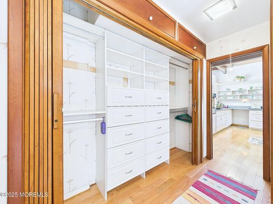 Interior, Walk-in Closets, Wood Texture Flooring