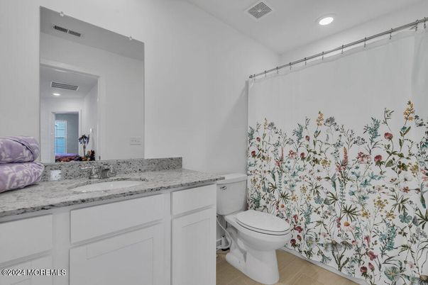 Bathroom, Interior, Recessed Lighting, Wood Texture Flooring